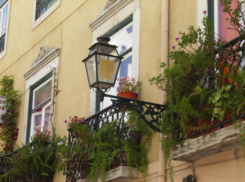 Dias E Dominguez Hostel Lisbon Bagian luar foto